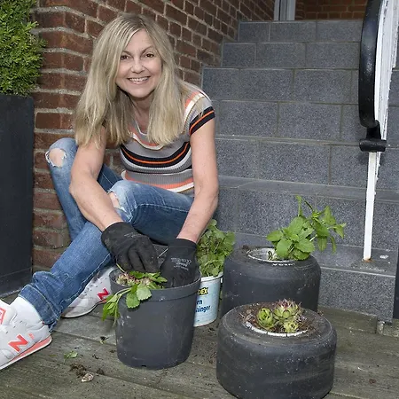 Gertrud - לינה וארוחת בוקר 3*